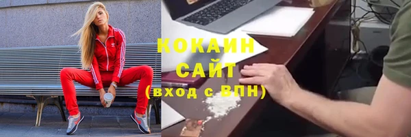 стаф Новозыбков