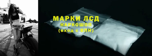 стаф Новозыбков