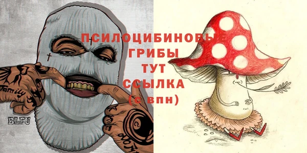 каннабис Новодвинск