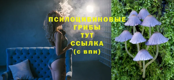 стаф Новозыбков