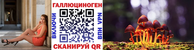 Галлюциногенные грибы MAGIC MUSHROOMS  Кувшиново 
